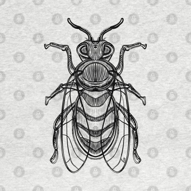 Hand drawn vintage bee by Yety